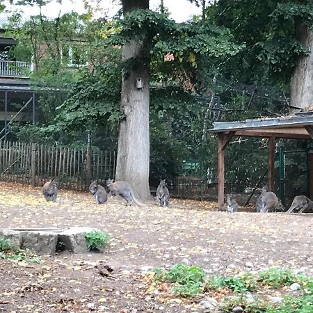 Ferienhaus Am Park Am Roehrensee Bayreuth Eksteriør bilde