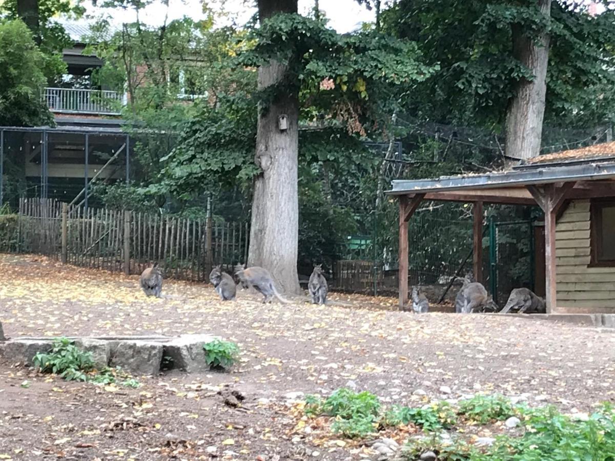 Ferienhaus Am Park Am Roehrensee Bayreuth Eksteriør bilde